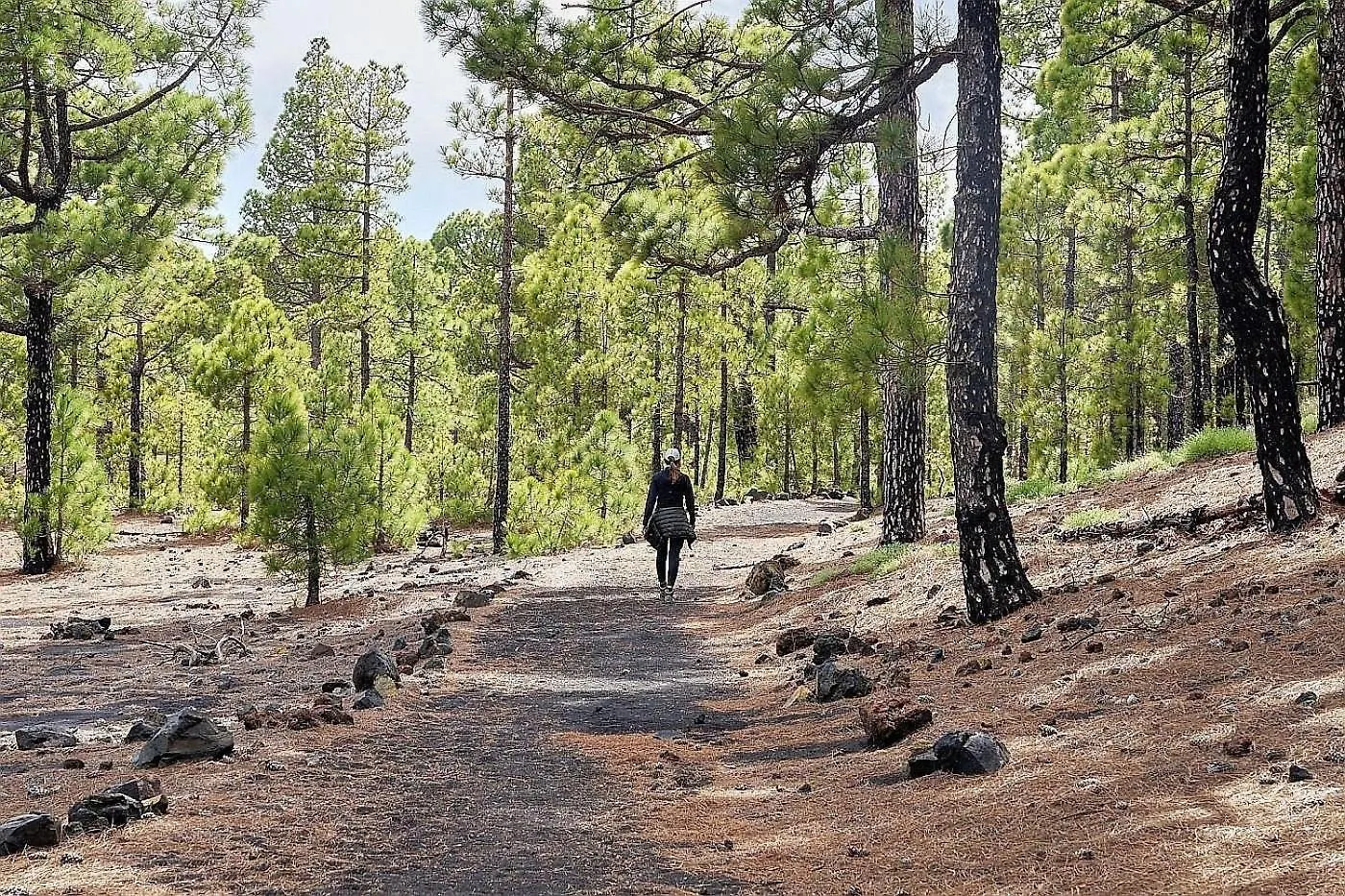 度假居 Finca Del Sur Las Indias