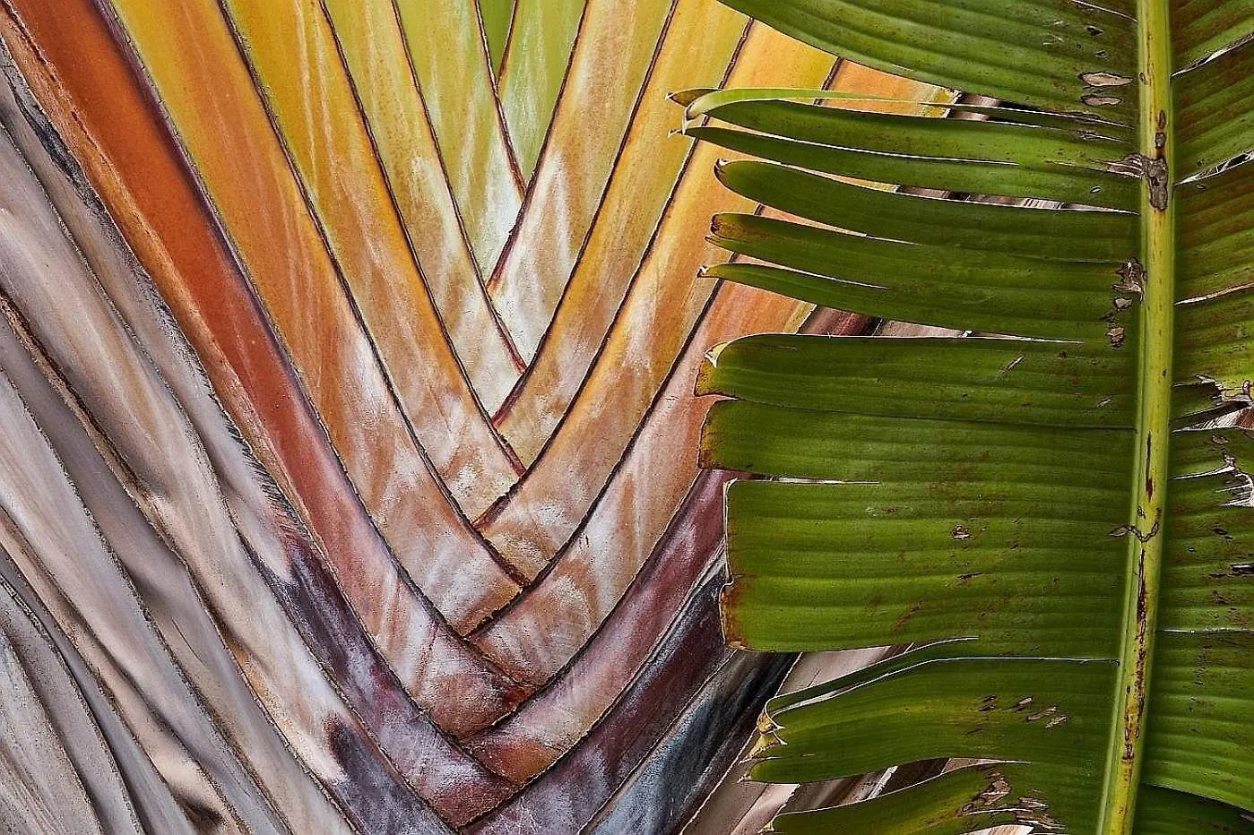 度假居 Finca Del Sur Las Indias 西班牙