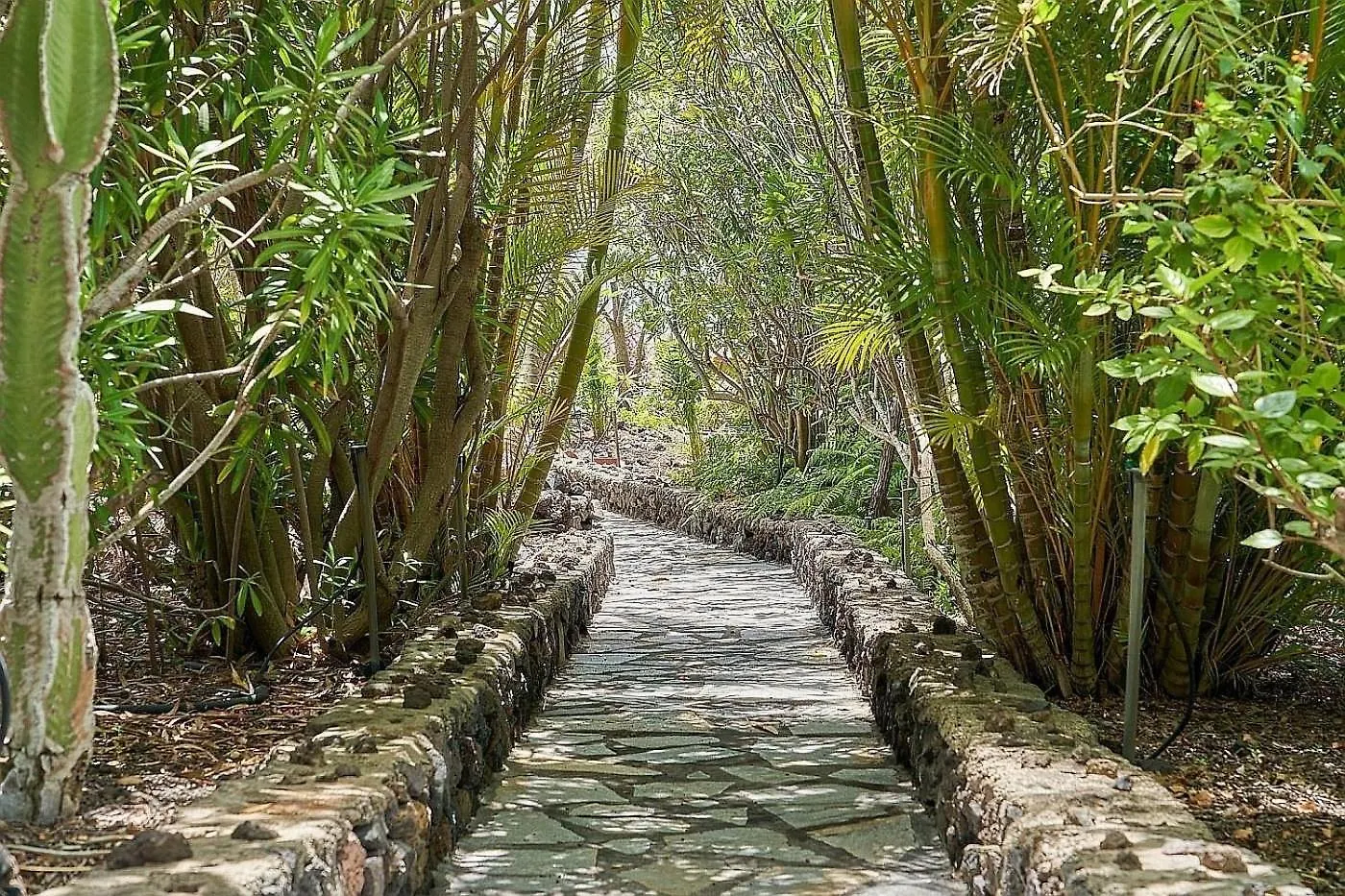 度假居 Finca Del Sur Las Indias