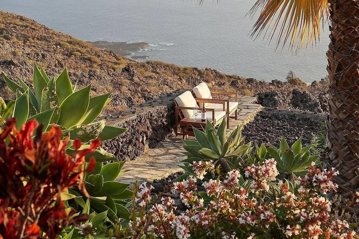Finca Del Sur Las Indias
